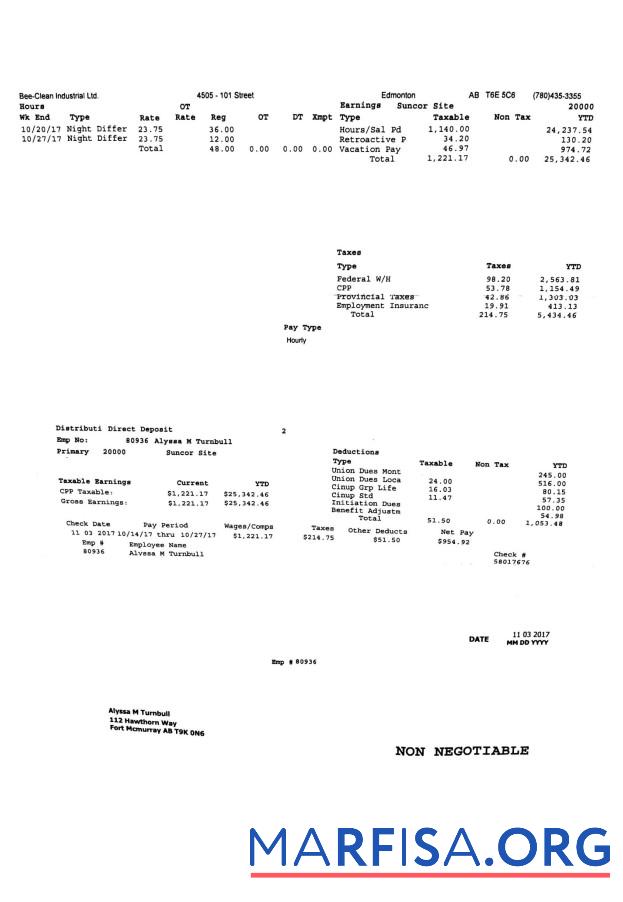 Blank Bee Clean Industrial Ltd. PayStub example